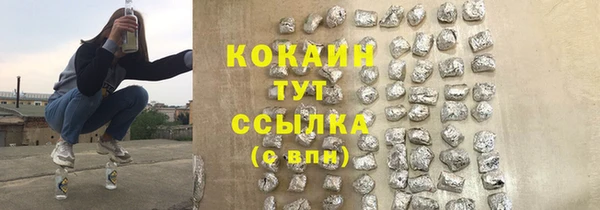 меф Няндома