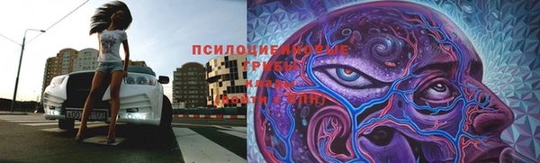 2c-b Нягань