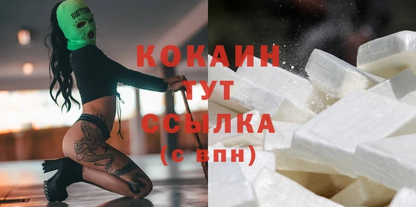 меф Няндома