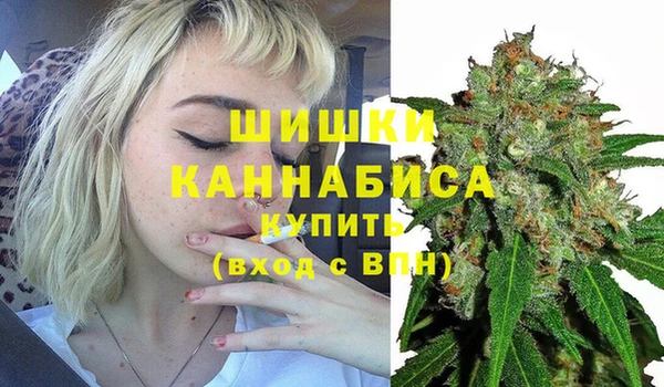 меф Няндома