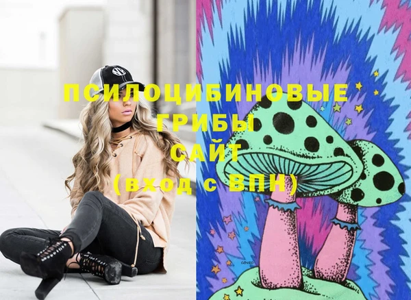 меф Няндома