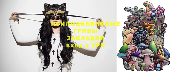 2c-b Нягань