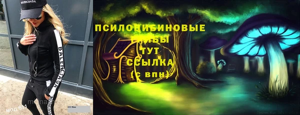 меф Няндома
