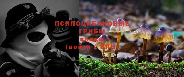 мескалин Новодвинск