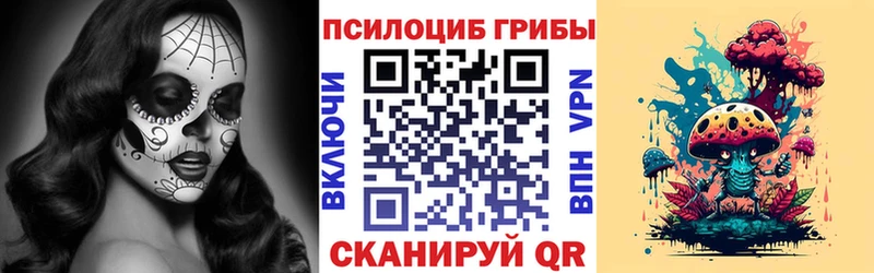 купить наркоту  Углегорск  Псилоцибиновые грибы Psilocybe 